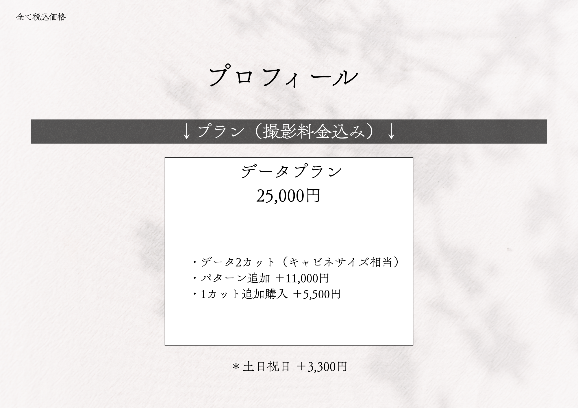 �v���t�B�[�� �v�����i�B�e�������݁j �f�[�^�v����25,000�~
		�E�f�[�^2�J�b�g�i�L���r�l�T�C�Y�����j
		�E�p�^�[���ǉ� +11,000�~
		�E�ǉ����i10%off �A���o���v���� 88,000�~
		�E1�J�b�g�ǉ��w�� +5,500�~
		*�y���j�� +3,300�~