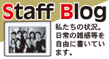 Staff Blog